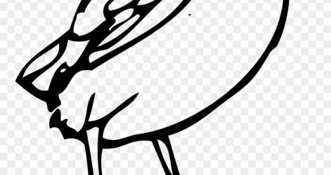 471x250 Bird Line Drawing Images Angry Phoenix Duck Cute One Iydunetwork