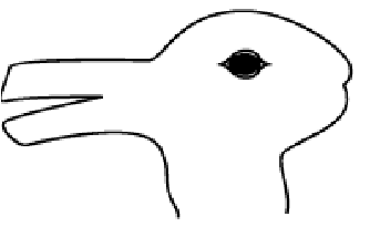 Duck Or Rabbit Drawing