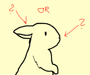 300x250 Rabbit Or Duck