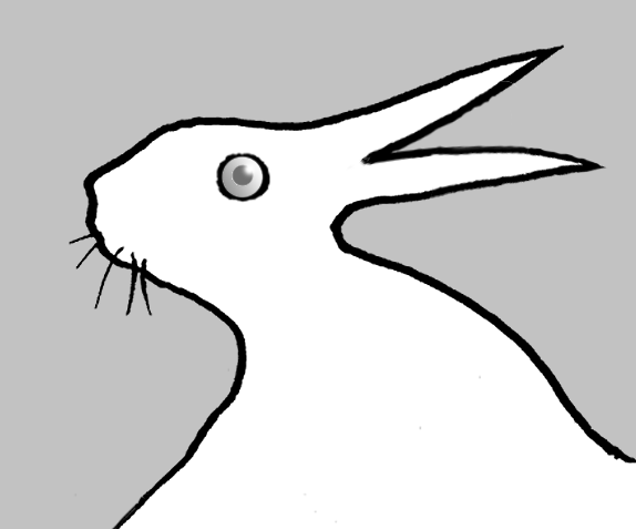 574x477 Worlds Best Duck Rabbit Illusion Richard Wiseman