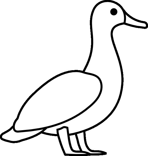 570x598 Outline Of Ducks
