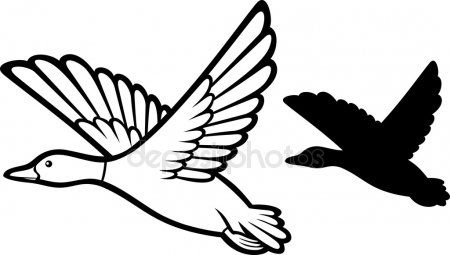 450x255 Mallard Duck Flying Wood Working Duck Outline, Flying Bird