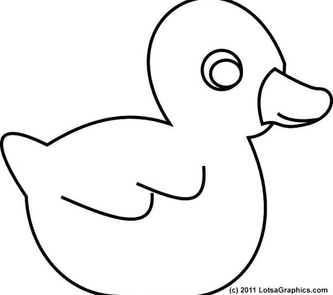 678x600 Outline Of A Duck Mallard Duck Outline Drawing Bird Outline