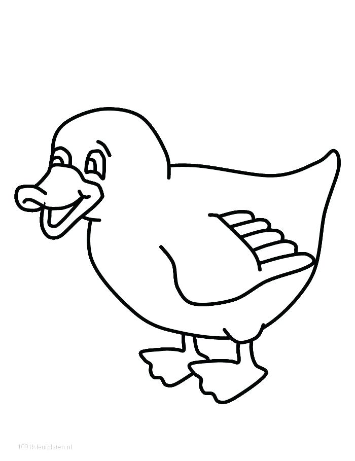 700x909 Duck Outline