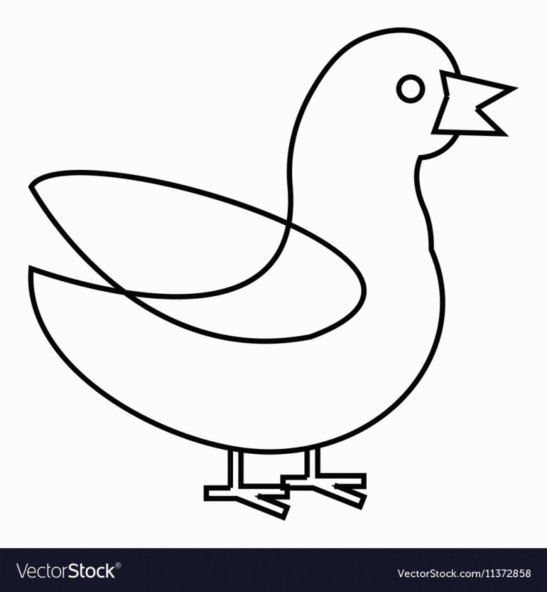 777x840 Collection Rubber Duck Outline Pictures