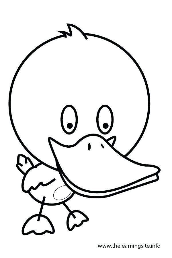 600x900 Duck Cartoon Outline Buy This Stock Vector And Explore Similar