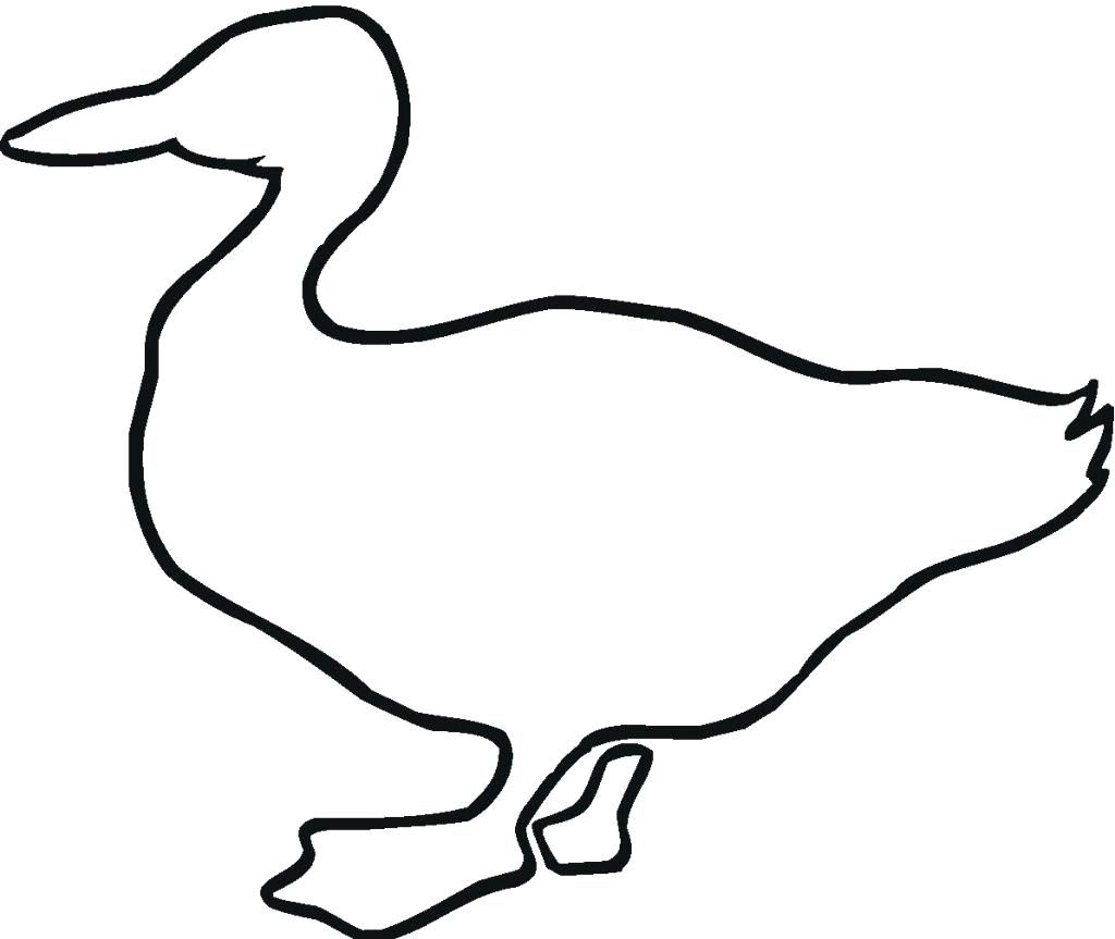 1024x863 Duck Drawing Free Download