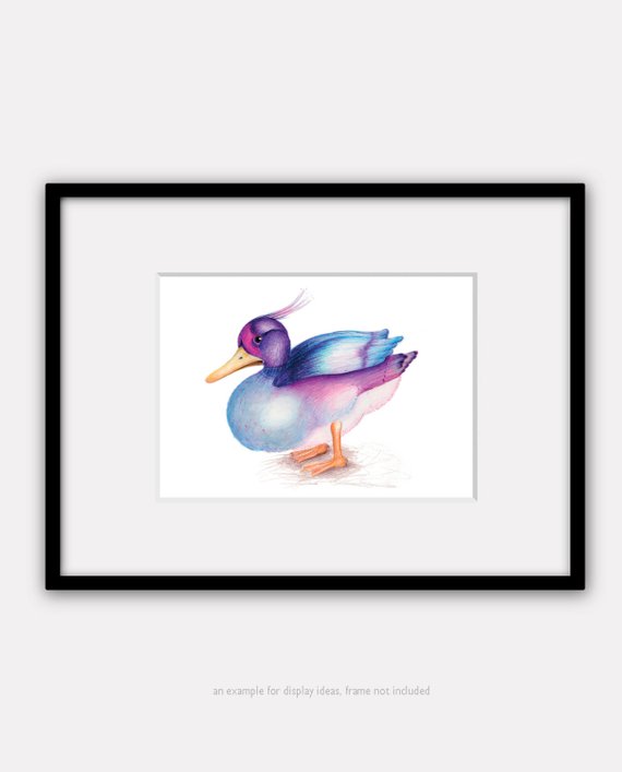 570x707 The Duck Watercolour Pencil Drawing X Inch Print Etsy