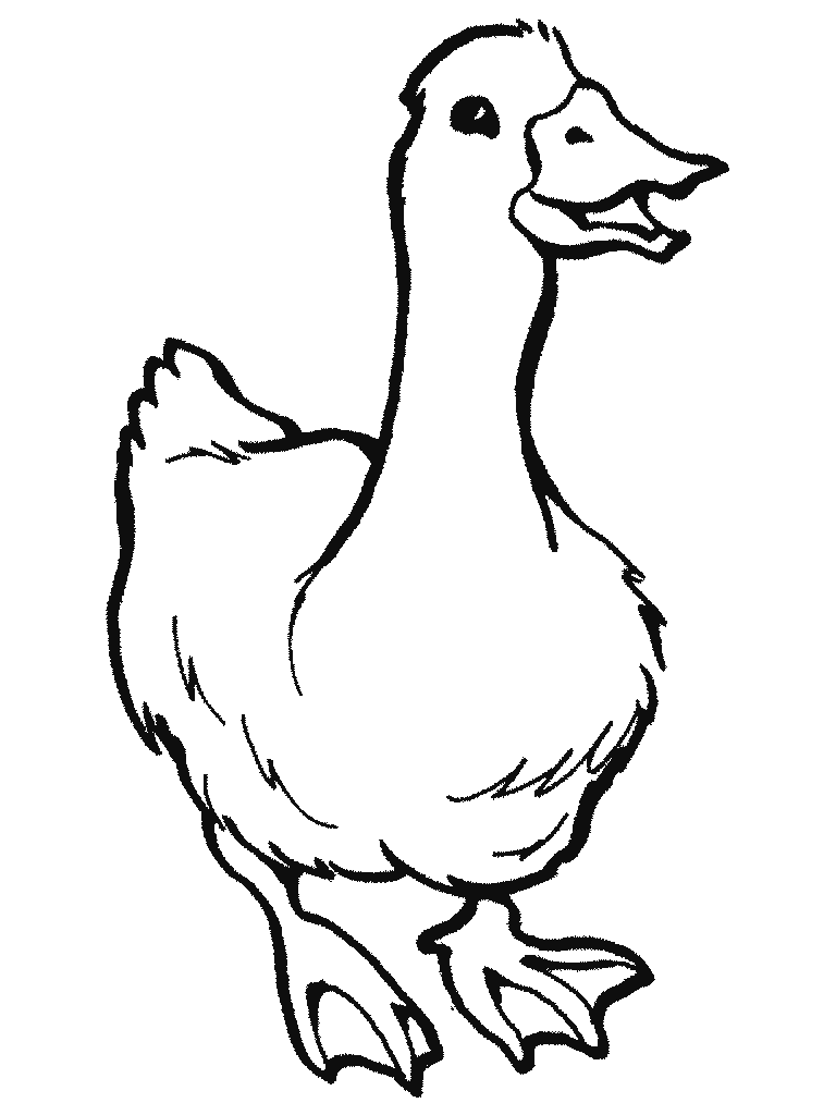 768x1024 Drawing Farmer Duck, Picture
