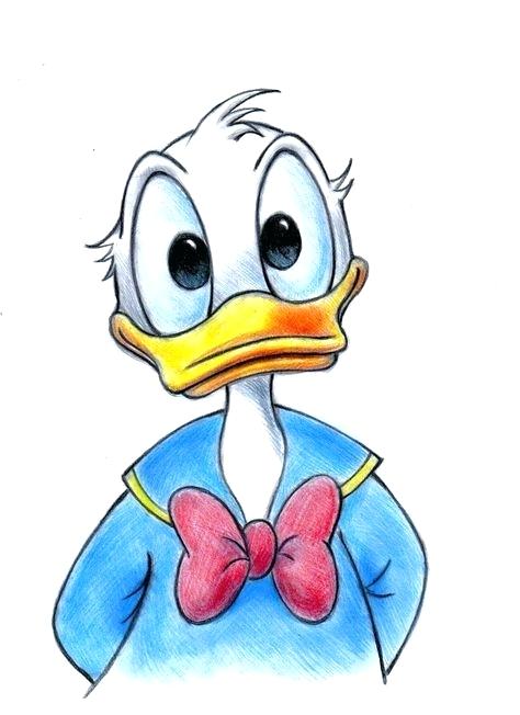 474x652 drawings of donald duck pins duck funnies how to draw donald duck