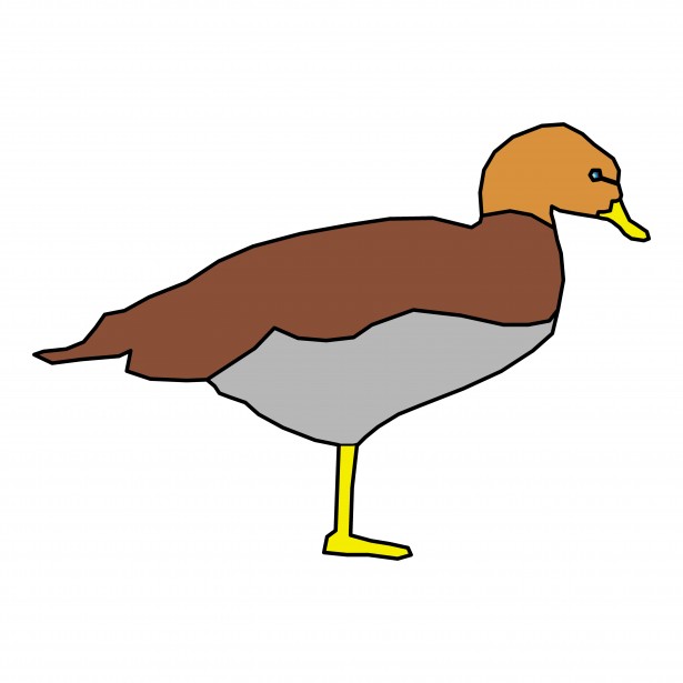 615x615 Duck Drawing Free Stock Photo