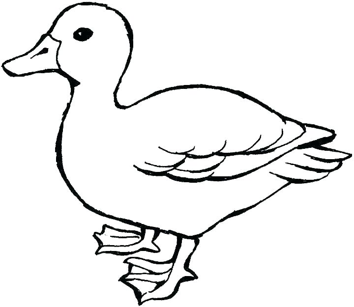 720x625 Coloring Pages Duck Related Post Disney Coloring Pages Donald Duck