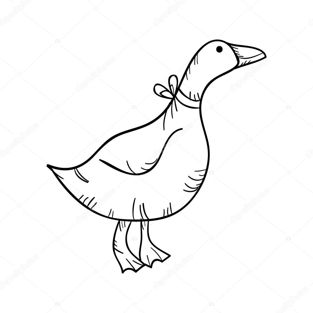 1024x1024 Duck Drawing Free Download