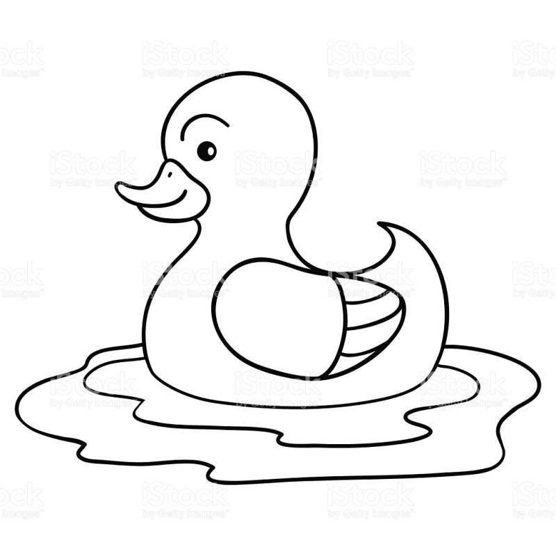800x800 Duck Pond Clipart