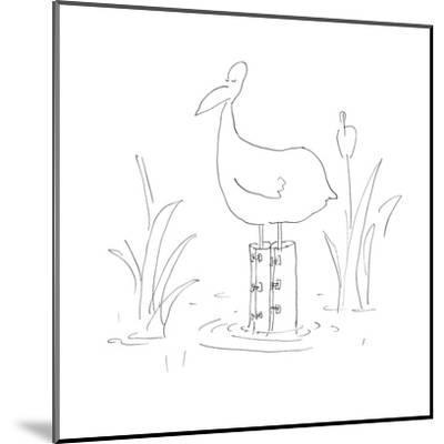 400x400 A Duck Stands In A Pond Wearing Knee High Rain Boots