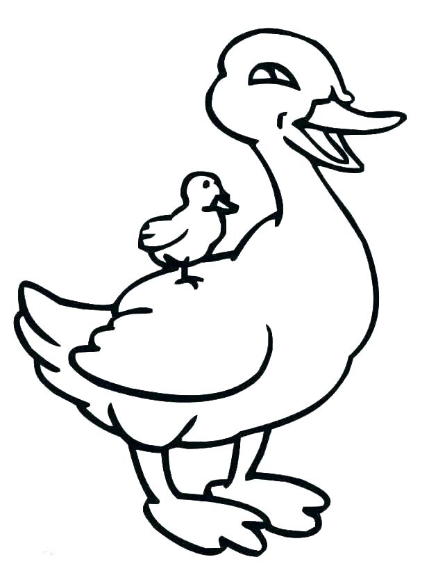 618x824 Duckling Coloring Pages