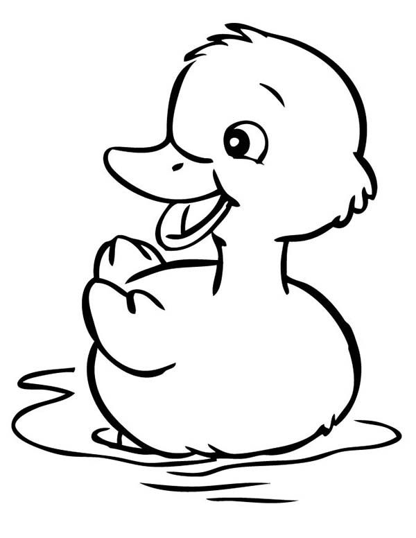 600x776 Duckling Drawing