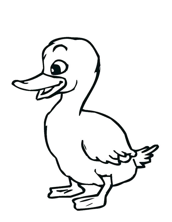 685x886 Ducks Coloring