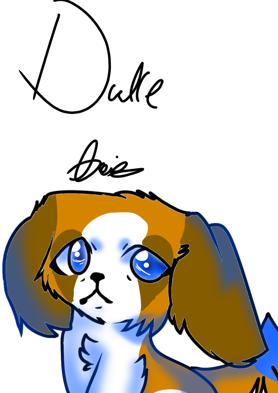 905x1280 duke ty drawing