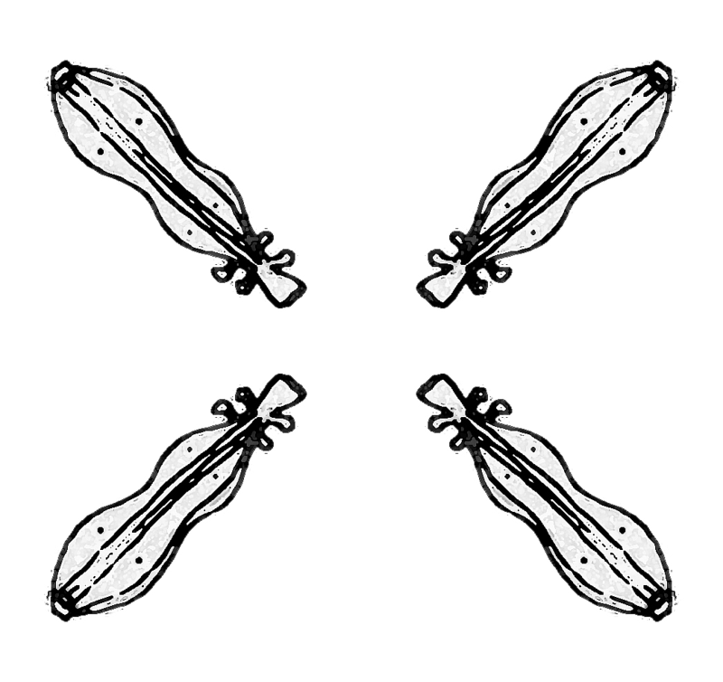 800x754 Mountain Dulcimer Draw Wallpaper