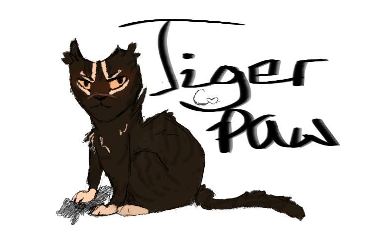 750x487 Requestclan Auditions Warriors Amino