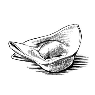 380x380 It's A Wonderful Time To Be A Dumpling