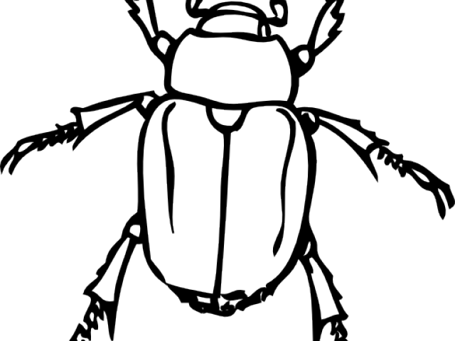 640x480 Free Dung Beetle Clipart, Download Free Clip Art