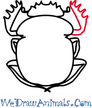 300x350 How To Draw A Dung Beetle