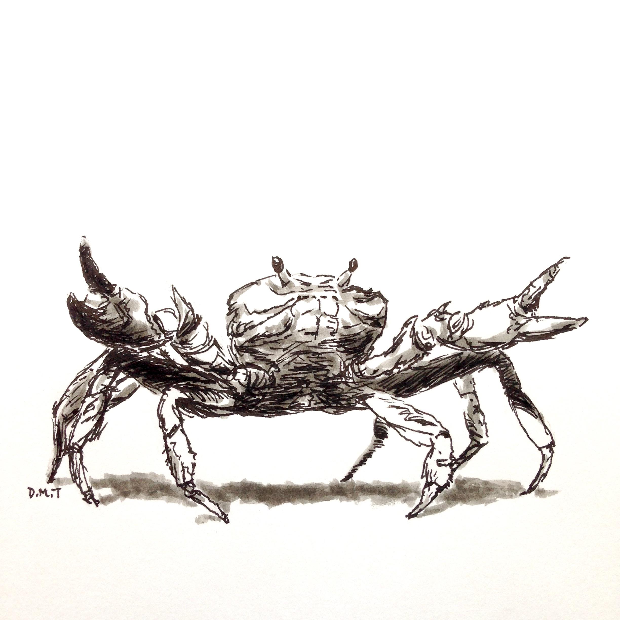 2448x2448 Crab