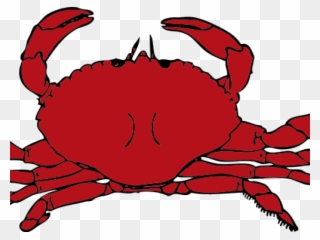 320x240 Crab Hd Animals