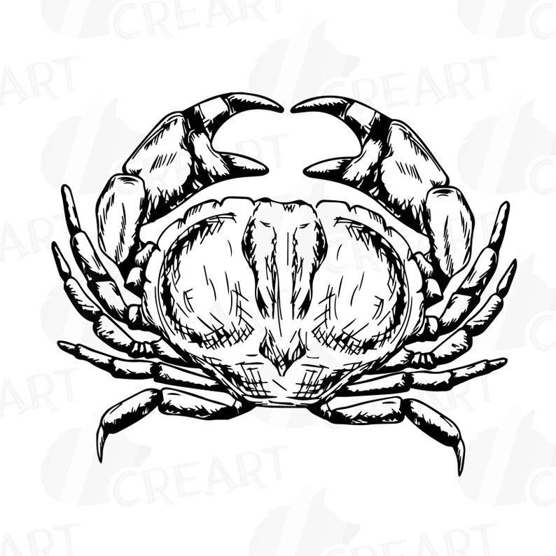 794x794 crabs clip art pack tropical crab scratch sea crabs png etsy