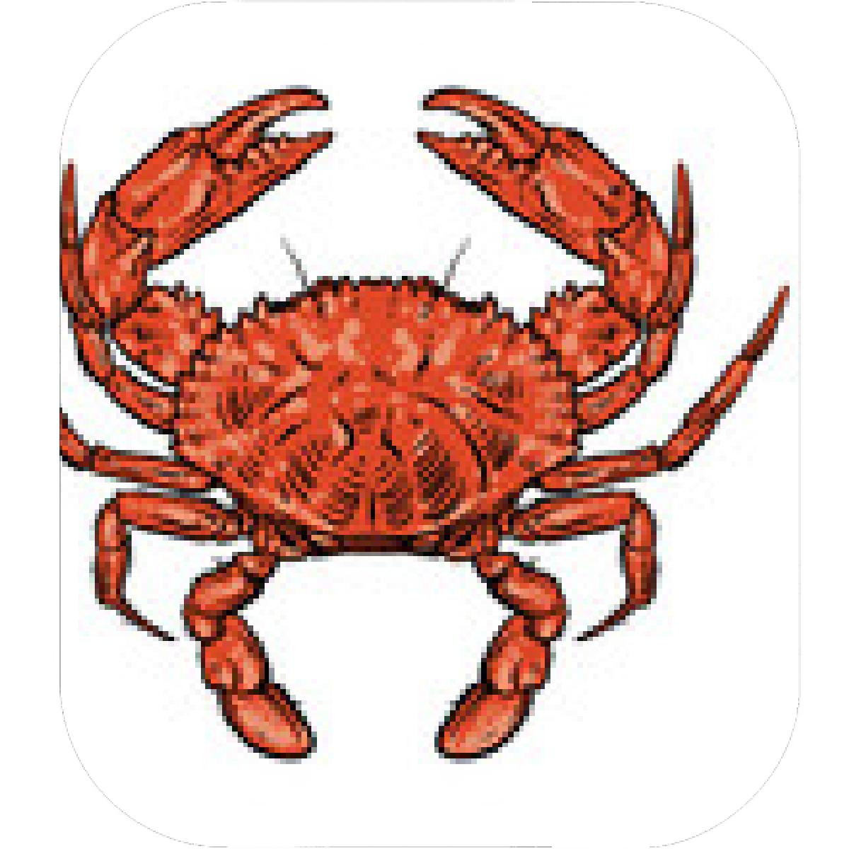 1200x1200 Designs Mein Mousepad Design Mousepad Selbst Designen