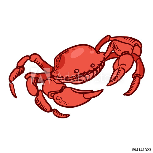 500x500 Detailed Hand Drawing Crab Vector