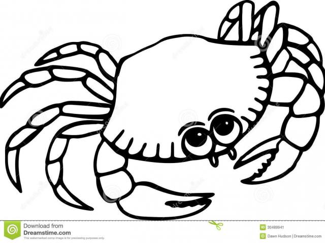 640x480 Free Drawn Crab, Download Free Clip Art