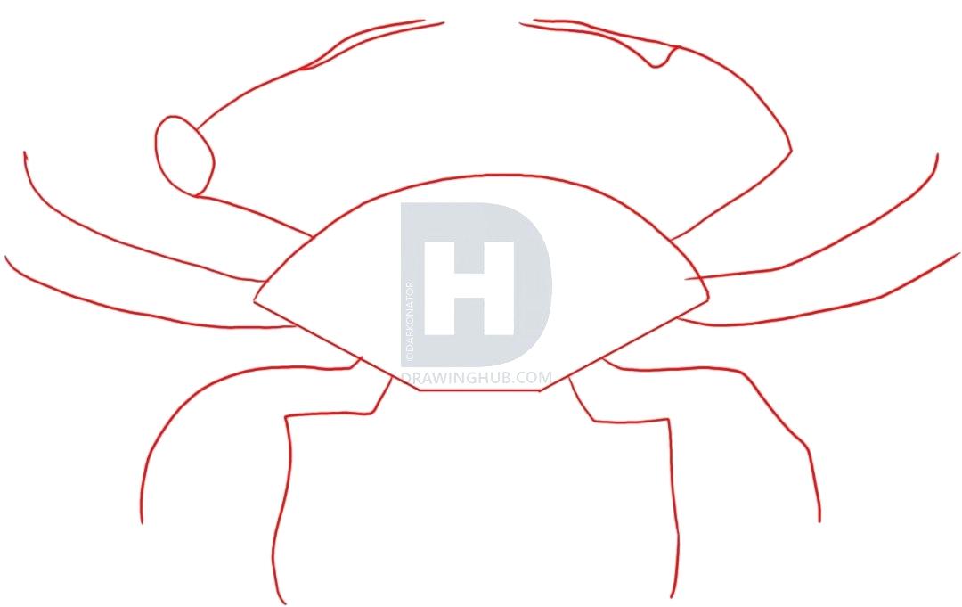 1080x681 how to draw crabs draw cartoon crabs
