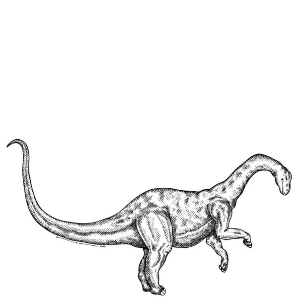 600x600 Pen Sketches Drawings