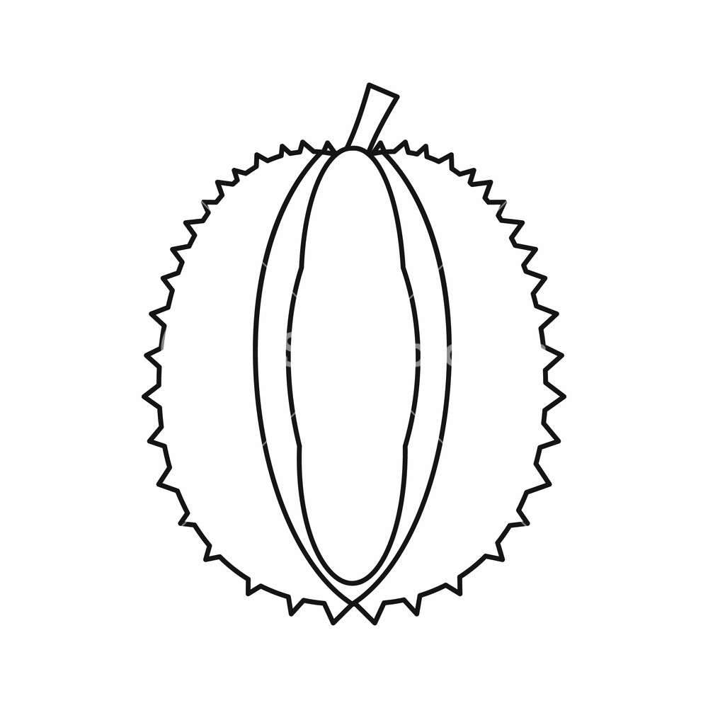 1000x1000 Durian Icon In Outline Style Isolated Vector Illustration Royalty