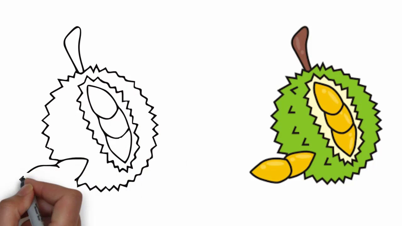 1280x720 How To Draw Durian Step