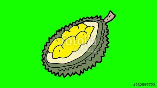 500x281 Kids Drawing Green Screen With Theme Of Durian Stock Footage