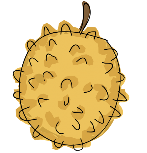 500x520 Durian, Fruit, Cartoon, Tropical, Fresh