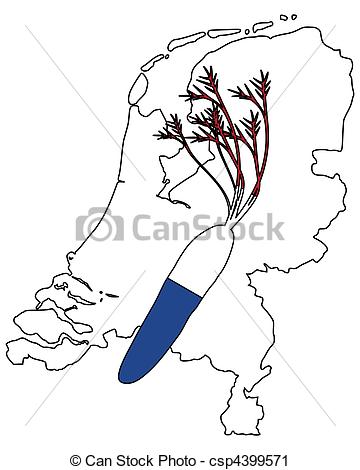 360x470 Dutch Carrot