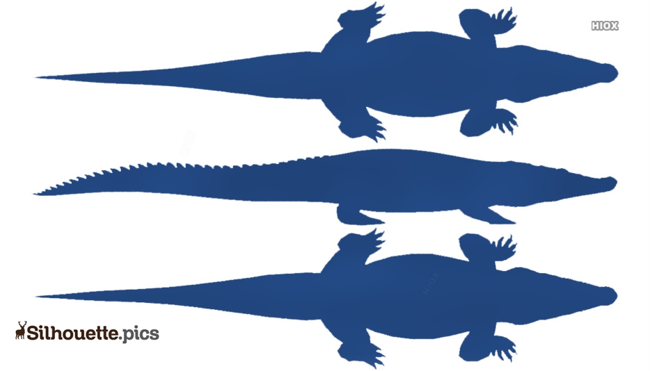 934x534 Dwarf Crocodile Silhouette Drawing Silhouette Pics