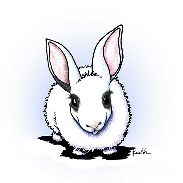 600x600 Dwarf Hotot Bunny Rabbit Art Print