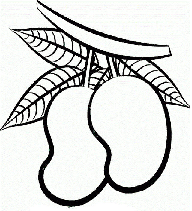 640x702 Dwarf Mango Trees Coloring Page