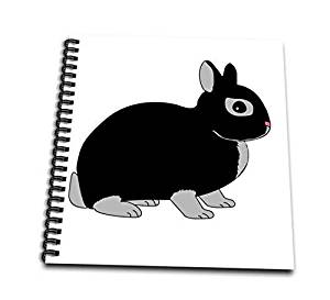 300x273 Db Netherland Dwarf Rabbit Silver Marten Design