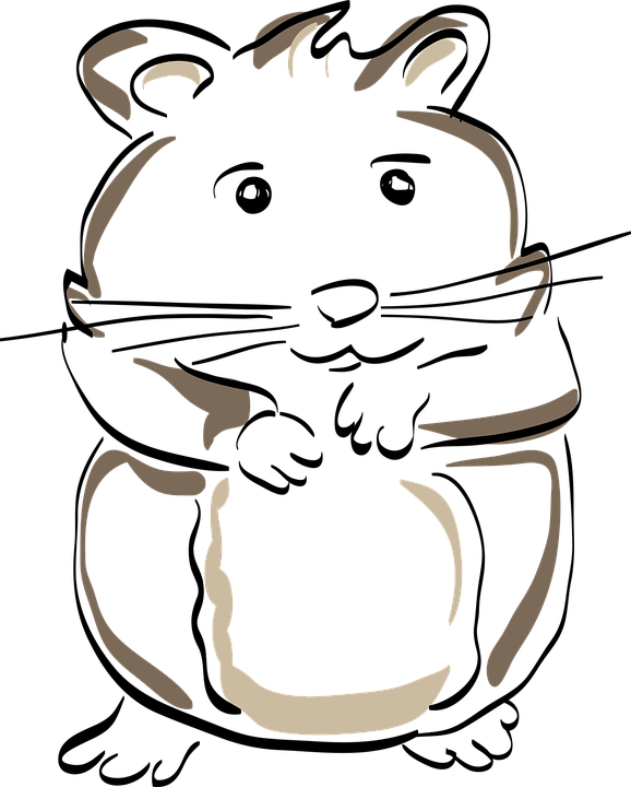 578x720 free photo nature funny comic drawing rodent hamster mammal