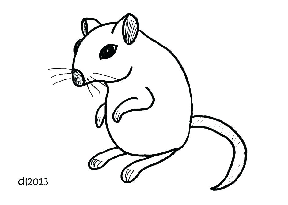 940x671 Hamster Drawing Free Download