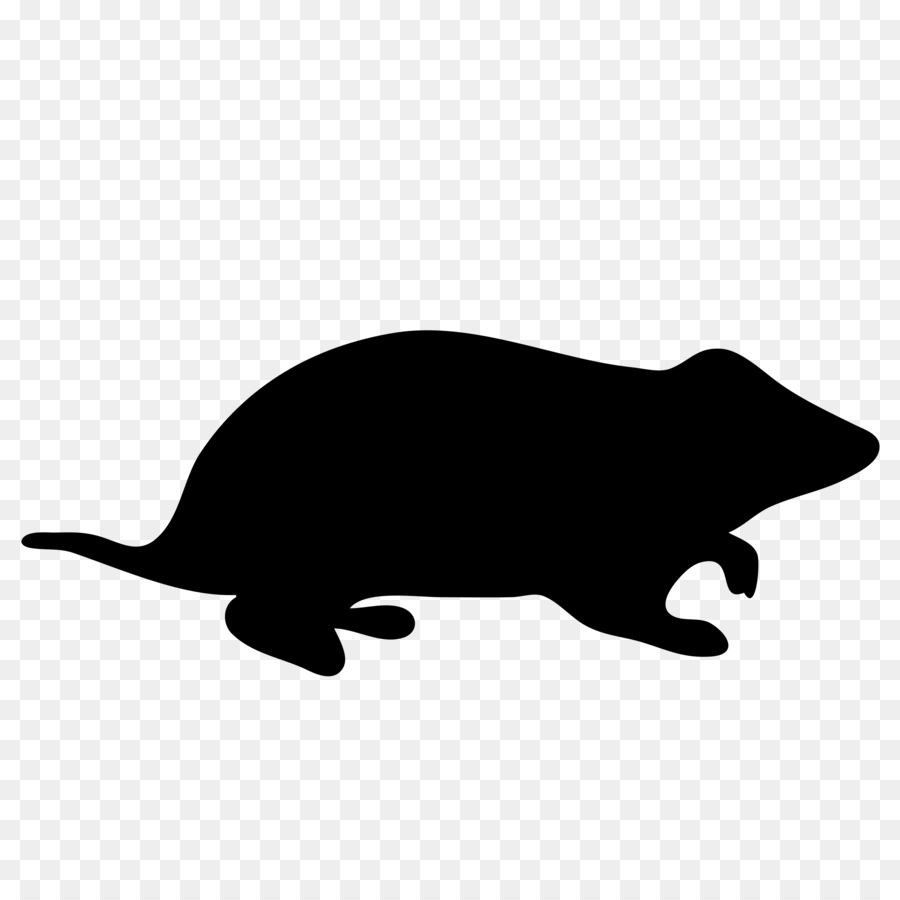 900x900 Mouse, Pet, Drawing, Transparent Png Image Clipart Free Download