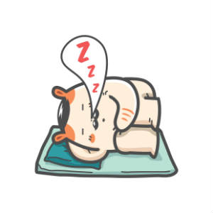 300x300 Russian Dwarf Hamster