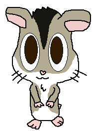 187x263 Russian Dwarf Hamster